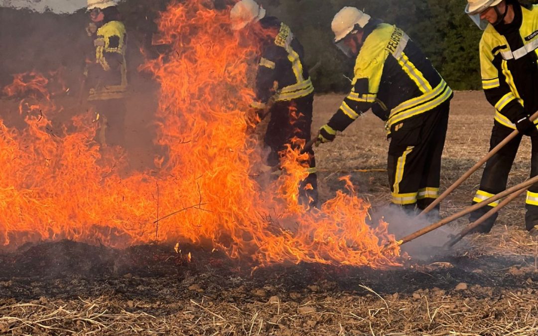 Vegetationsbrandbekämpfung mit realen Flammen trainiert